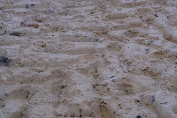 Gefrorene Treckerspuren am Ahrensfelder Dam