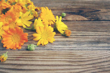 Yellow summer flowers on a wooden surface. Bouquet from a marigold. Calendula flowers. Holidays bouquet