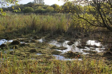 England, Dorset, Studland Bay