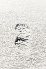 Track on the snow