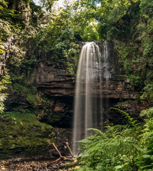 Nature in all its glory