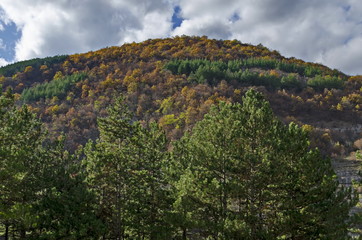 Fototapeta na wymiar Colorful autumn landscape in the Balkan mountain, Bulgaria