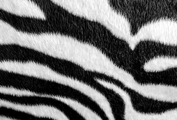 Obraz na płótnie Canvas Zebra skin pattern leatherette fabric