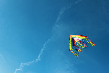 Rainbow kite in the sky