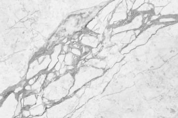 Fototapeta premium white marble texture background.