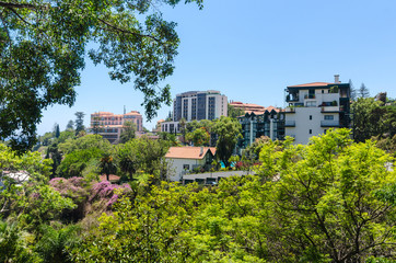 Landscape Funchal city .