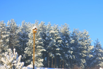 Деревянный скворечник зимой на фоне леса. © vubaz