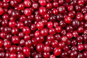 Cranberry. Berries macro. Food background.