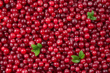 Cranberry. Berry with leaves. Food background.