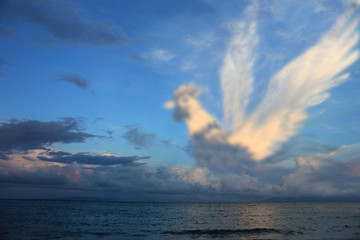 The year of the rooster,cloud blurry image of chicken with the blue sky 