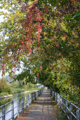 Fototapeta na wymiar Monza (Italy): Villoresi canal