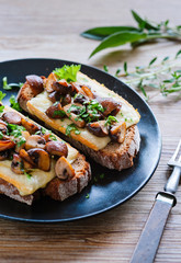 Rustikaler Snack: Frisches Brot mit Raclette Käse, Pilzen und frischen Kräutern