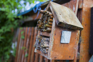 Bee House wooden natural