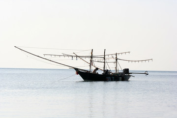 Local fishing boats caught the squid