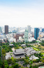 Business and culture concept - panoramic modern city skyline bird eye aerial view with zojo-ji temple shrine from tokyo tower under dramatic sunrise and morning blue sky in Tokyo, Japan