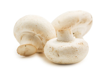 handful of raw  mushrooms