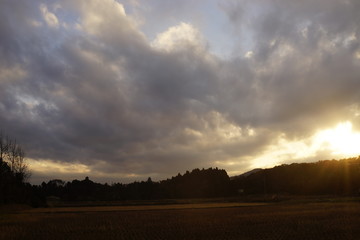 夕方　夕刻　木漏れ日　空　