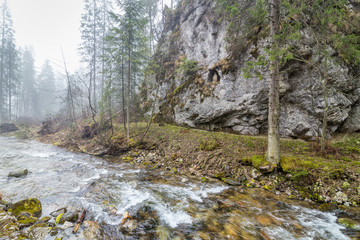 Tatry, Dolina Kościeliska © martabialonoga