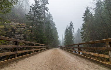 Tatry, Dolina Kościeliska © martabialonoga