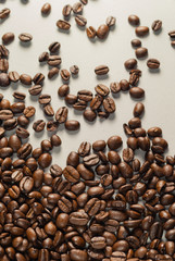 Coffebeans on Neutral Gray Background. Dark Roast Coffee.