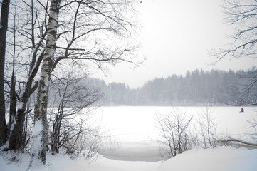 winter lake in the forest