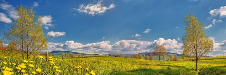 Abwaschbare Fototapete Frühling Spring Landscape Panorama