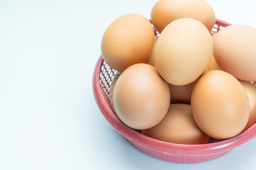 egg in basket on white background