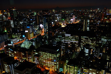 Fototapeta na wymiar 東京の街並,夜景