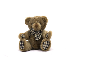 soft toy teddy bear on white background.