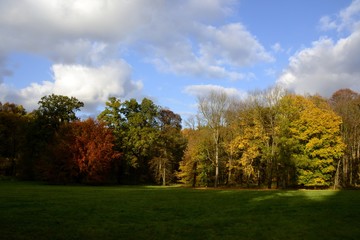 Details from park in autumn with cloudy sky