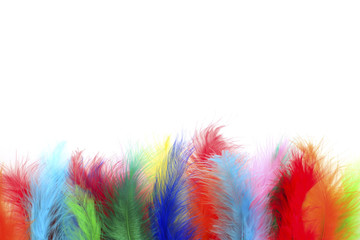 Colorful feathers backround