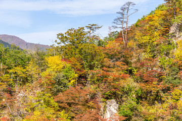Naruko gorge in autumn season