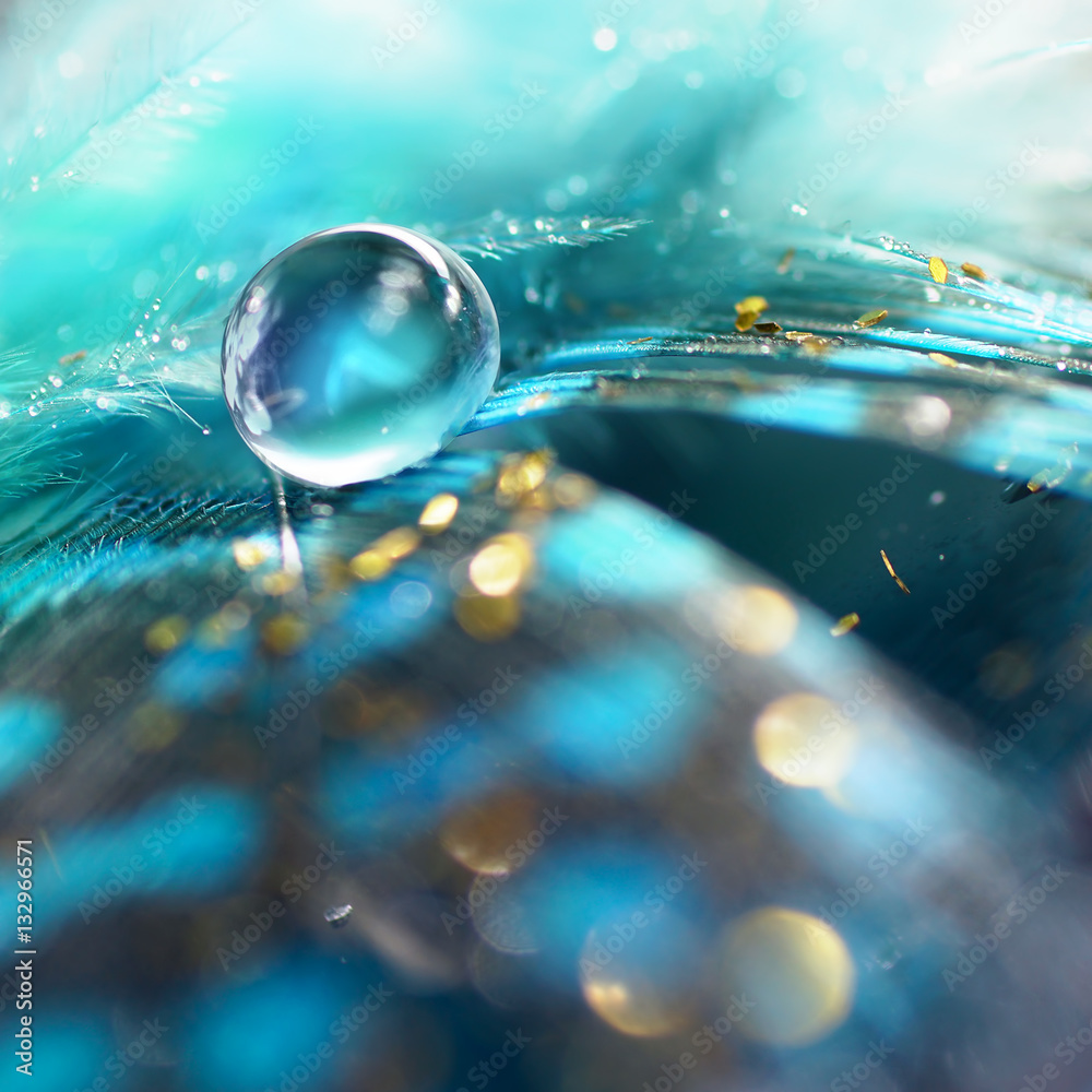 Poster big blue dew drop of rain water on a blue bird feather and gold tinsel close-up macro with soft blur