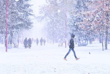 City park in winter with heavy snowfall. Passers people and a man walks down the street in the snow storm in the city. Snow flakes falling.