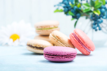 Obraz premium macaroons