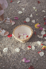 Mariage et chemin de pétales de fleurs