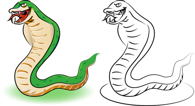 Cartoon snake. Coloring book  educational  for kids,  Coloring Cartoon Illustration