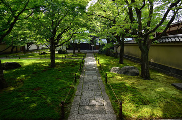 Fototapeta na wymiar stone path and Japanese garden, Kyoto