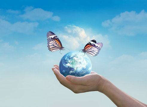 Woman holding planet earth with butterfly in hands on clean blue