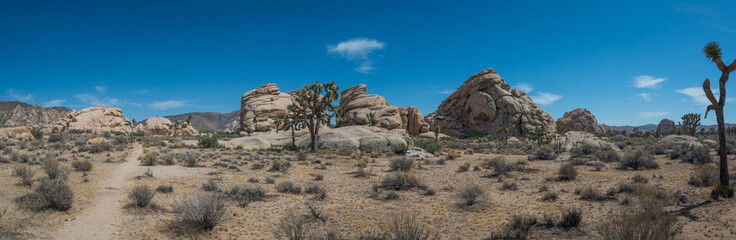 Panorama of Joshua Tree National Park during the day 