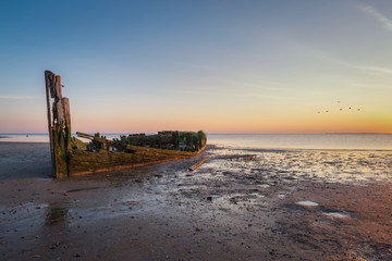 Abandoned ship along the Maurice River 