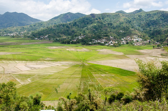 Cancar Spider Rice Field, Flores, Indonesia