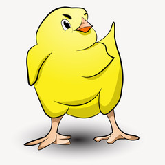 vector illustration of a chicken on a white background in cartoon style.