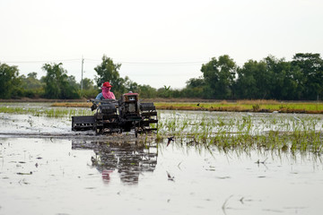 Naklejka premium tiller