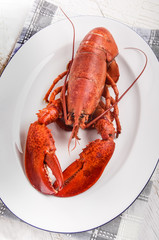 boiled red lobster on an oval plate