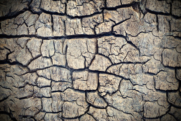 wood crack texture background