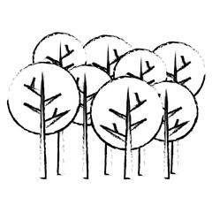abstract trees icon image vector illustration design 