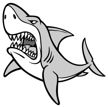 Shark Attack Illustration