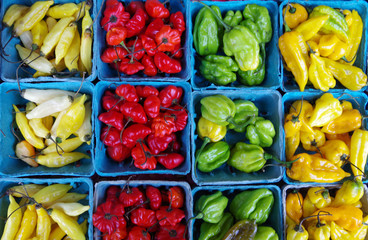 Colorful habanero peppers view from above