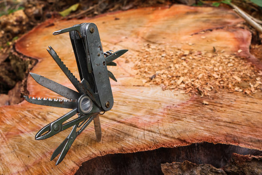 Multifunction knife stuck on the tree stump. 